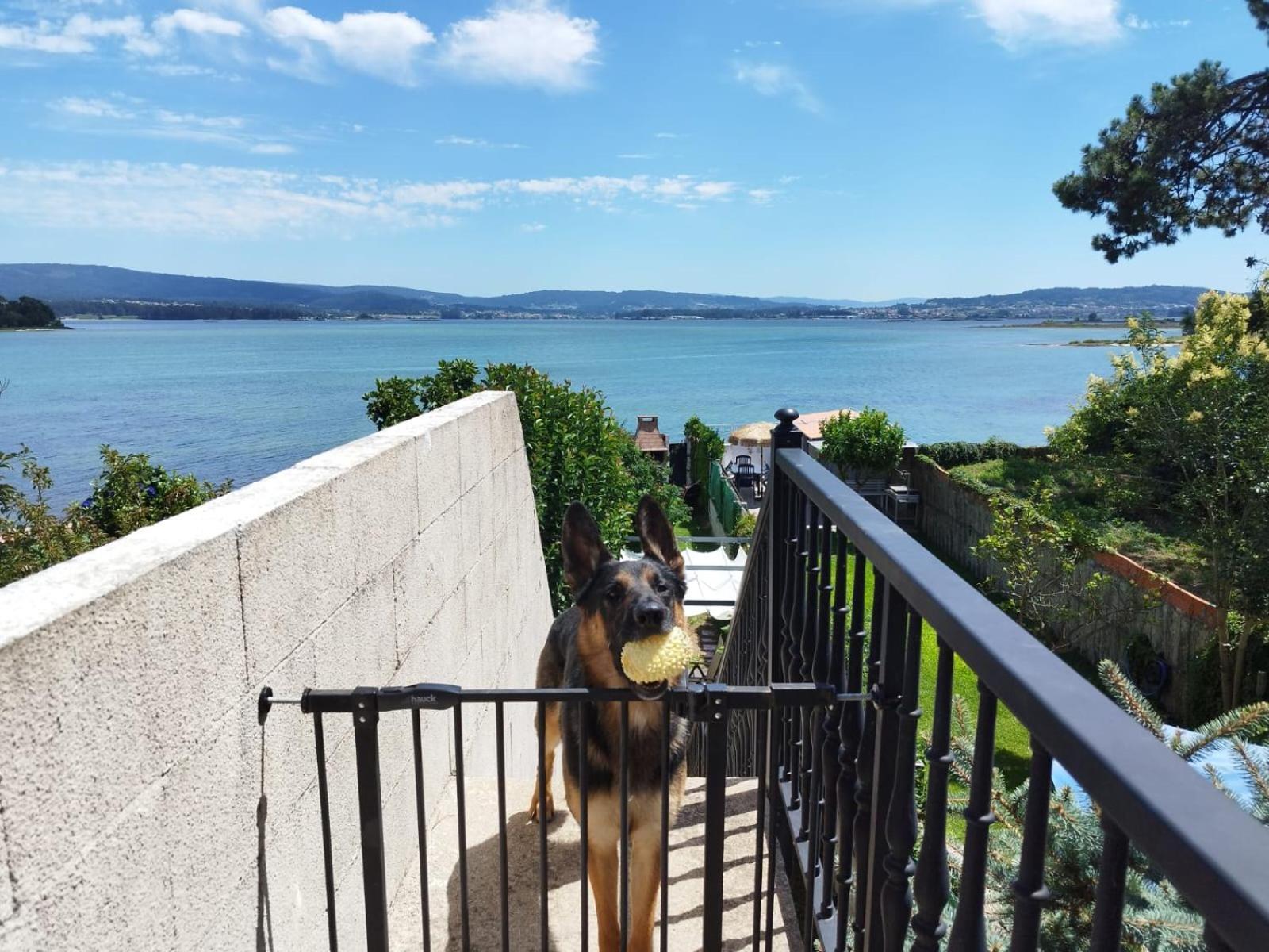 Vistas Al Mar E Isla De La Toja Daire O Grove Dış mekan fotoğraf